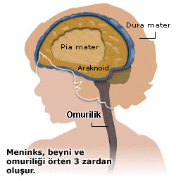 beyin-ameliyati